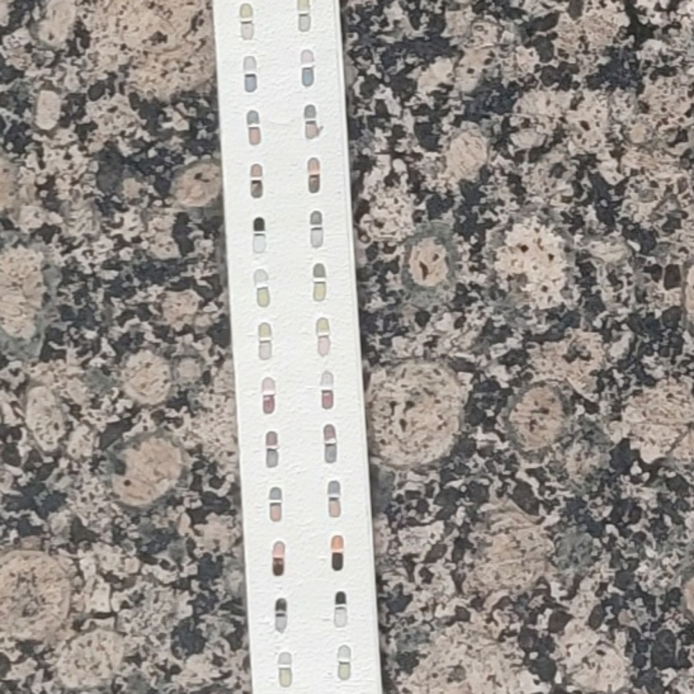 Multicolored star belt